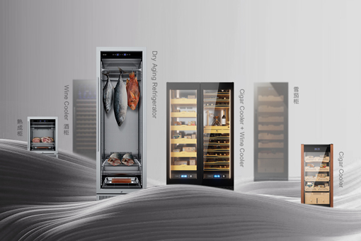 2023出海第一站 | 阳春四月，新朝与您相约狮城