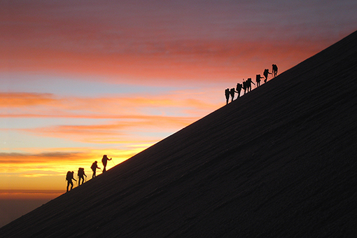 2022年度回望 | 笃行不怠，新朝可期